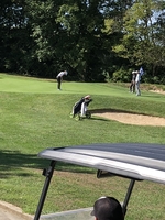 Tipton’s Emma Kelly a medalist at 2018 IHSAA Girls State