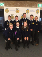 FFA Summer Honors